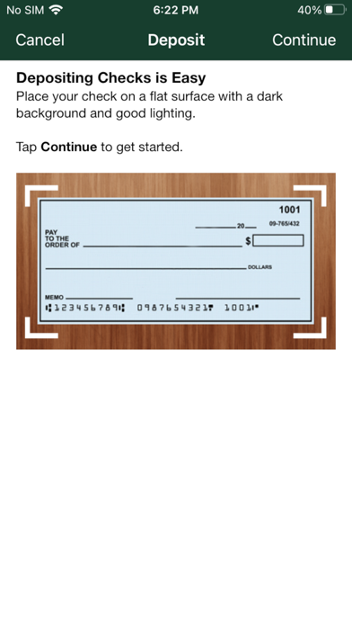Vista Bank Treasury eServices Screenshot