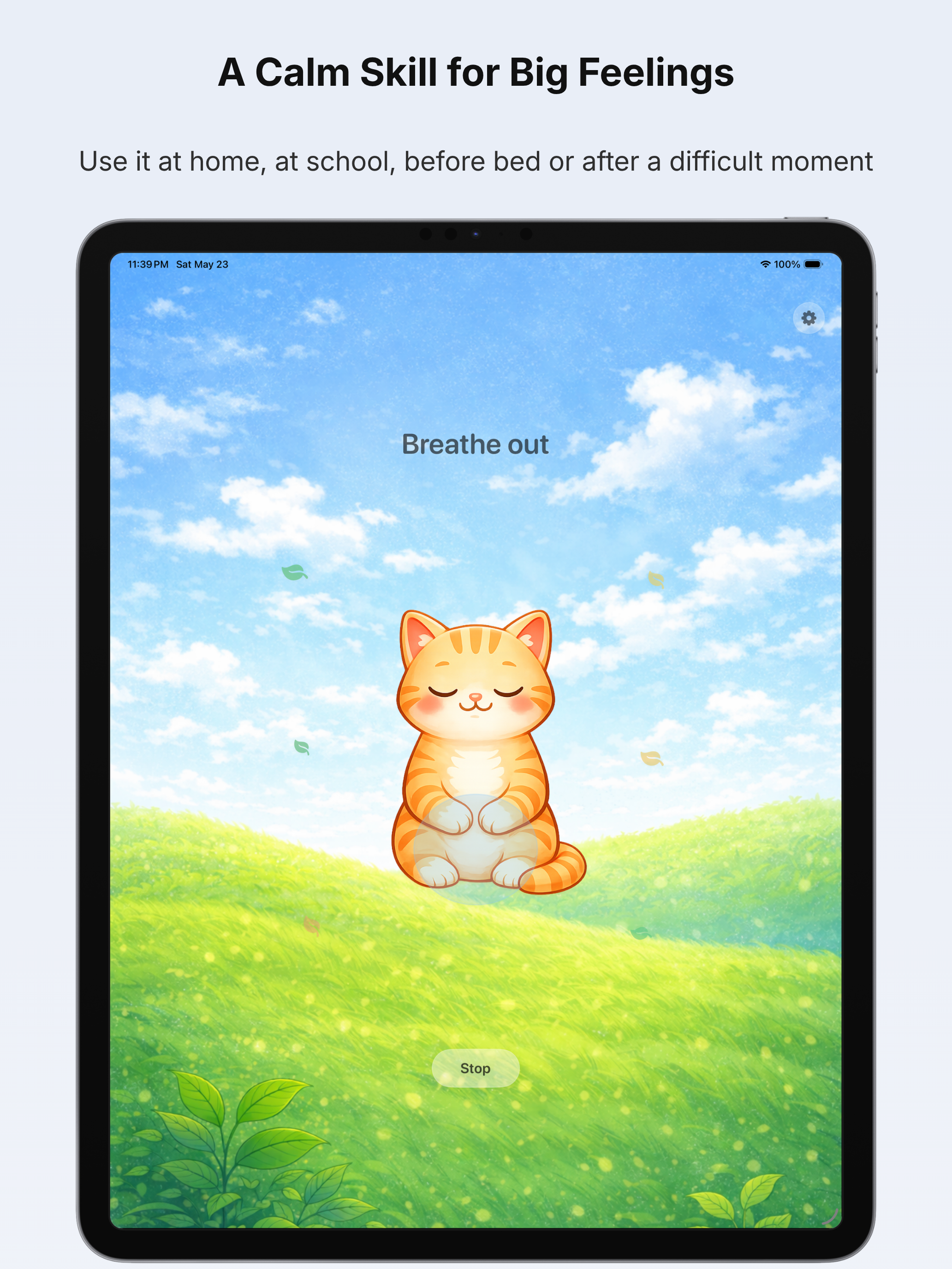 Belly Breath Buddy screenshot 8