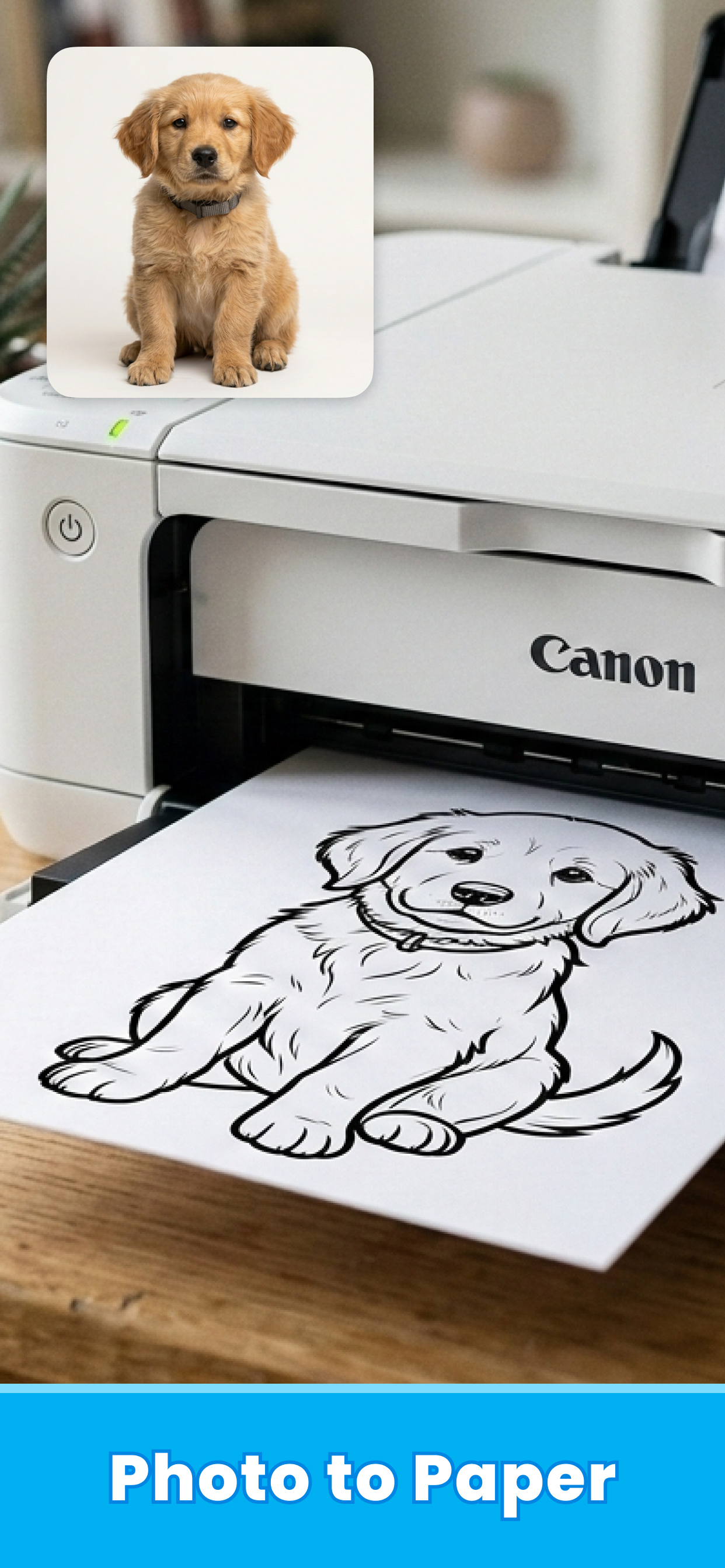 ColoriAI : Print Coloring Page