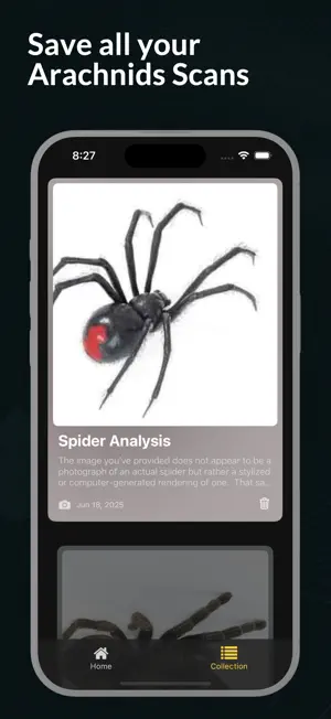 Spider Identifier Spider ID screenshot 2