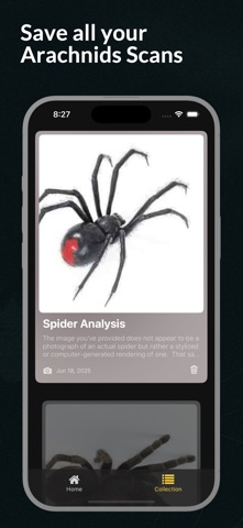 Spider Identifier Spider ID Screenshot 2 of 5