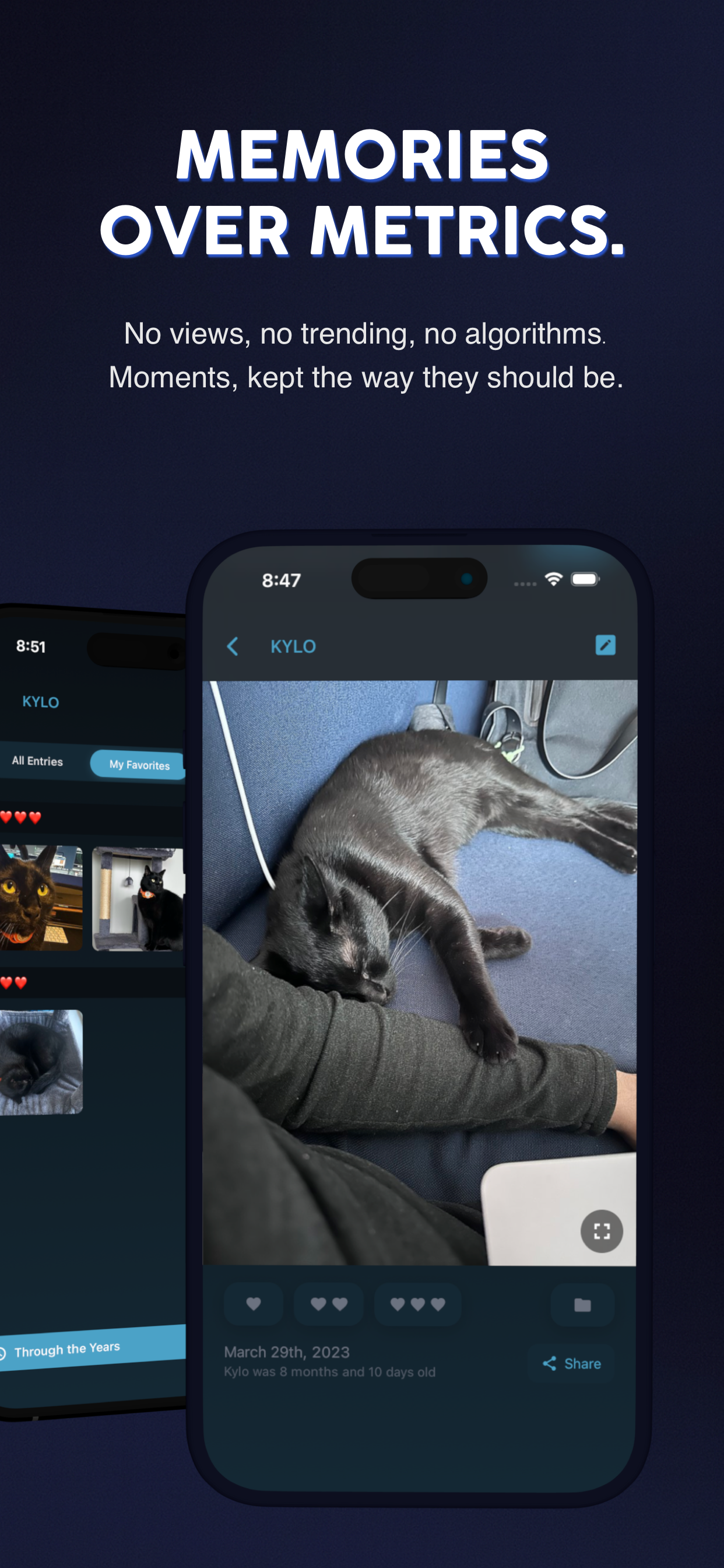 Paws - Your pet's journey screenshot 2