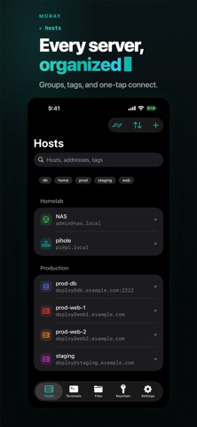 Moray: SSH, SFTP & Terminal Screenshot 3 of 8