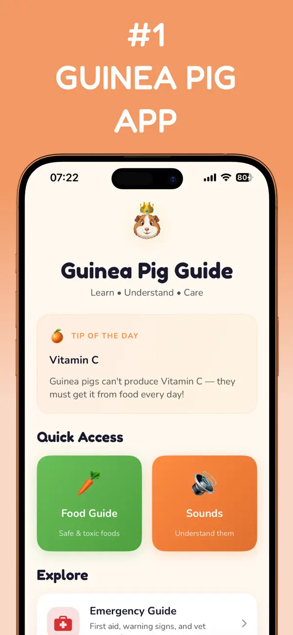 Screenshot #1 pour Wheeky: Guinea Pig Guide