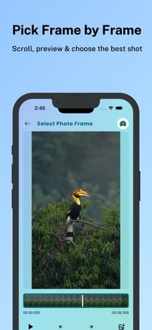 Video to Photo – Frame Capture iPhone screenshot