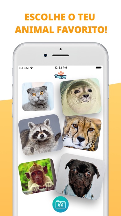 Toppy - Meus Animais Falantes