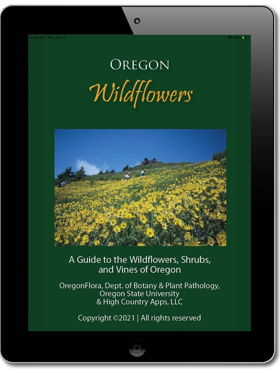 Screenshot #4 pour Oregon Wildflowers