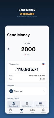 RemitBridge - Transfer Tracker screenshot