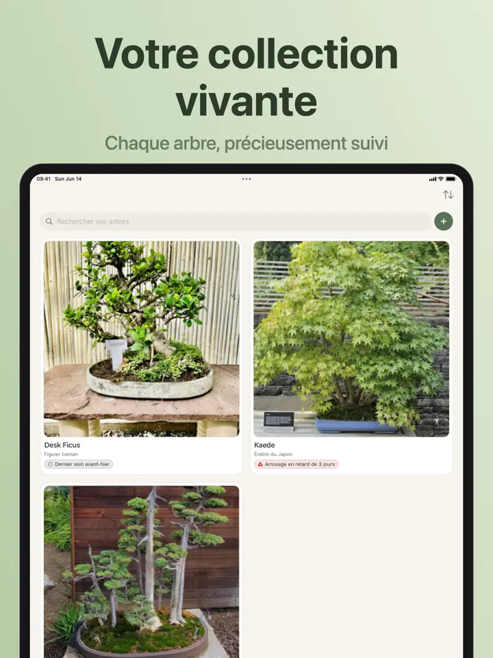 Bonsaiku sur iPad : capture d’écran 2 sur 7