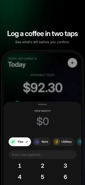 Solvent: Daily Budget screenshot 2