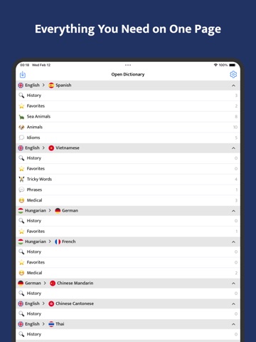 OpenDict - Offline Dictionary iPad screenshot