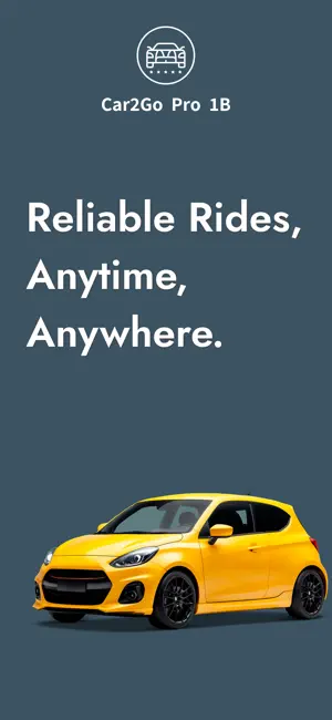 Car2Go Pro 1B screenshot 1