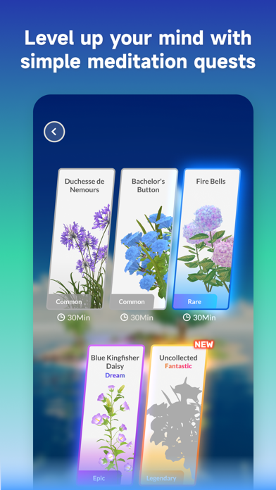 Medi Land Screenshot
