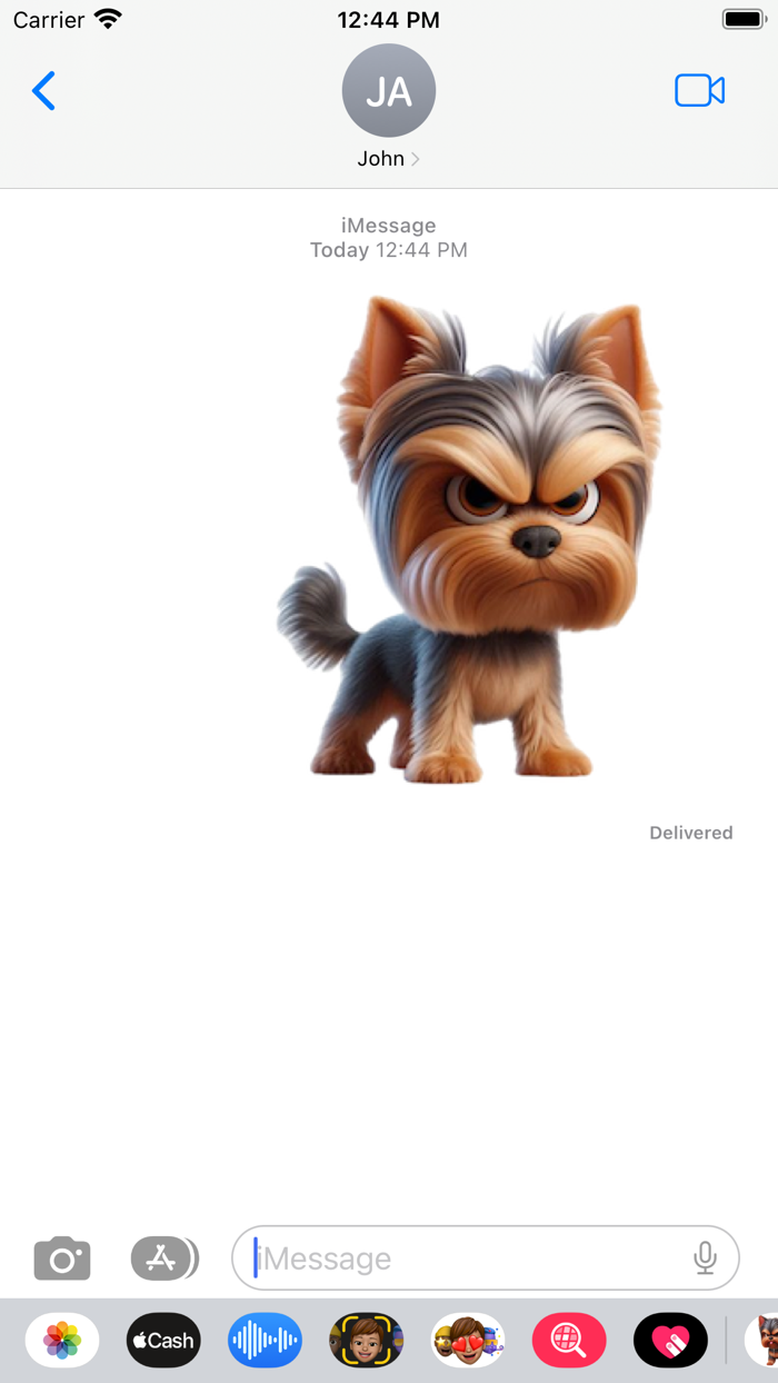 Angry Yorkshire Terrier