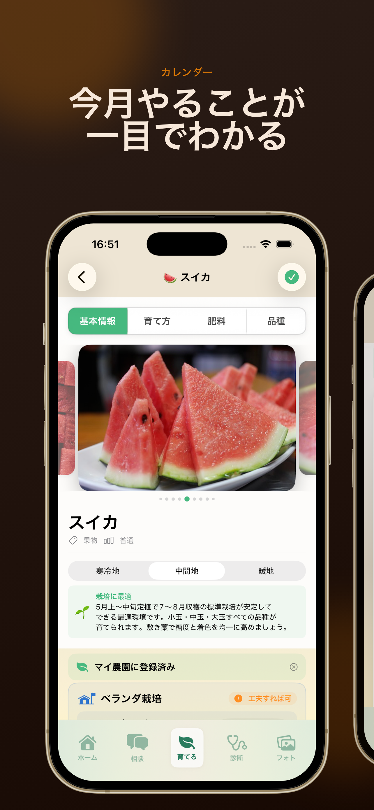 はたけのレシピ screenshot 4
