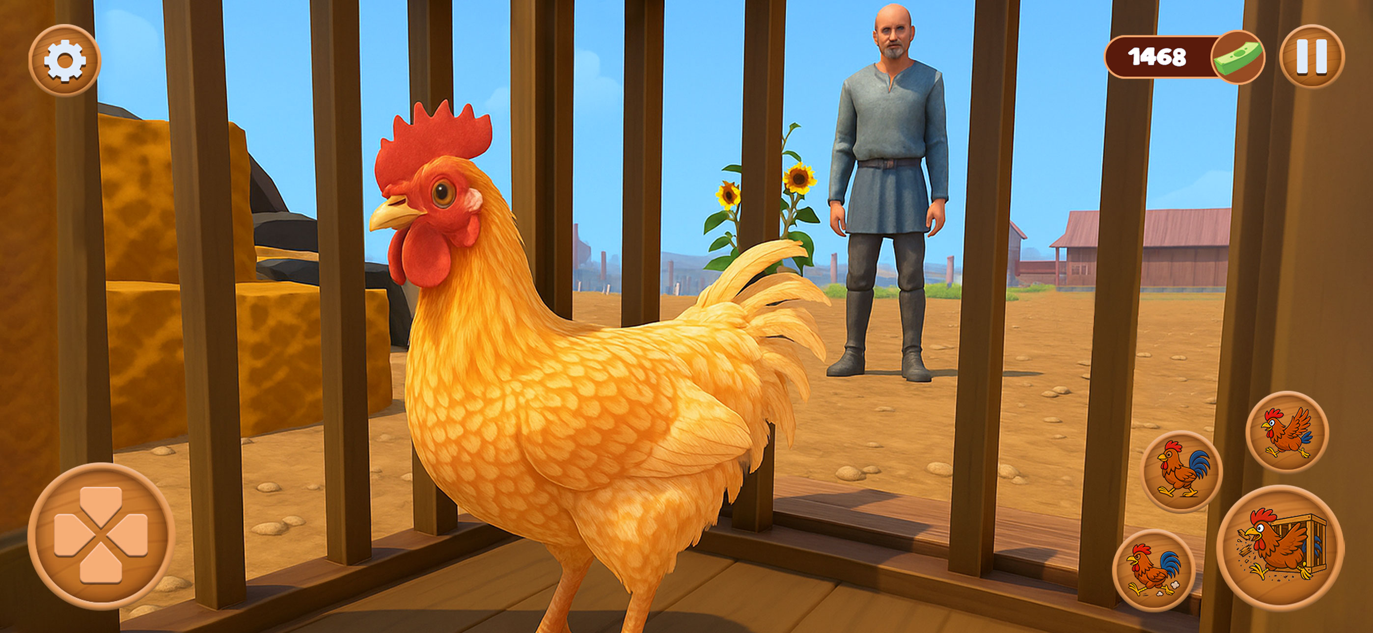 Farm Rooster fighting Chicken