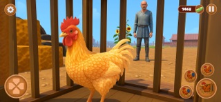 Farm Rooster fighting Chicken iPhone screenshot