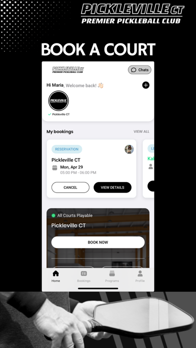 Pickleville CT Screenshot