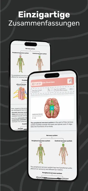 Easy Anatomy 3D mit Sprach-KI screenshot 8 of 9
