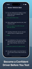 Driving Licence Practice Test screenshot
