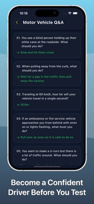 Driving Licence Practice Test screenshot 6