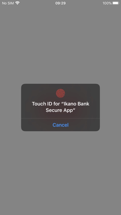 Ikano Bank Secure App screenshot-4
