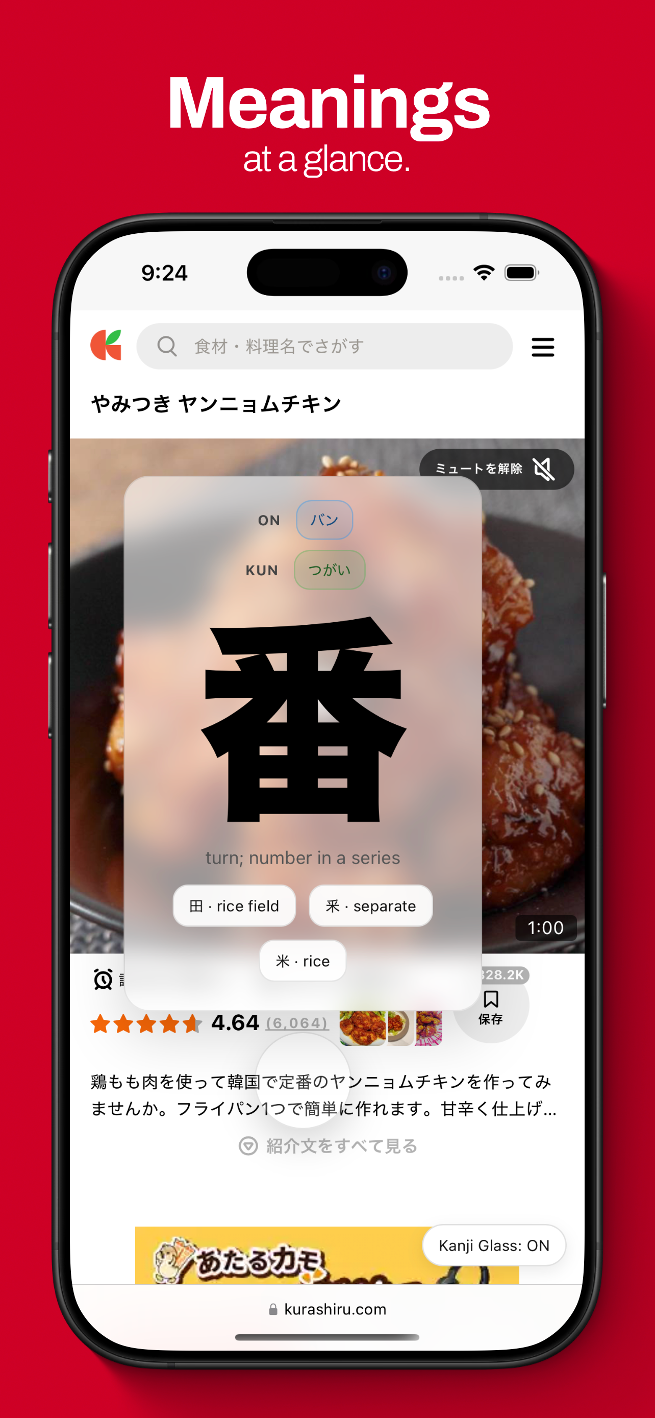 KanjiGlass - Fast Kanji Lookup screenshot 4