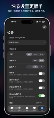 AllPlayer Pro screenshot