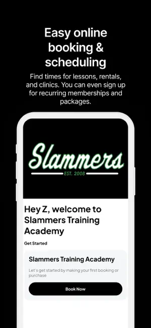 Slammers Baseball screenshot 3