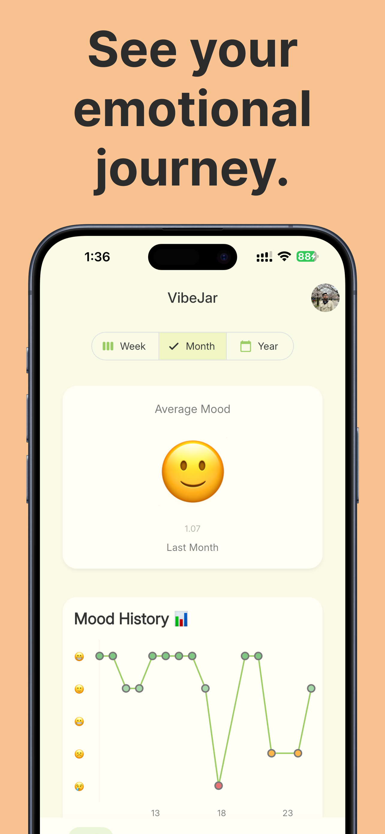 VibeJar-Mood Tracker & Journal