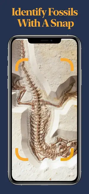 Fossil Identifier screenshot 1