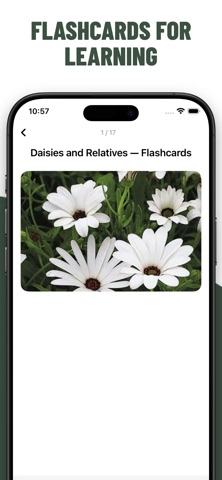 Flowers Quiz Identify Types screenshot