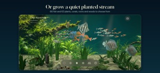 Duo Aquarium screenshot 5
