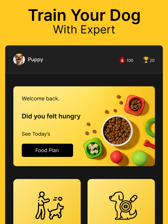 Dog Training  Pet Care Tricks