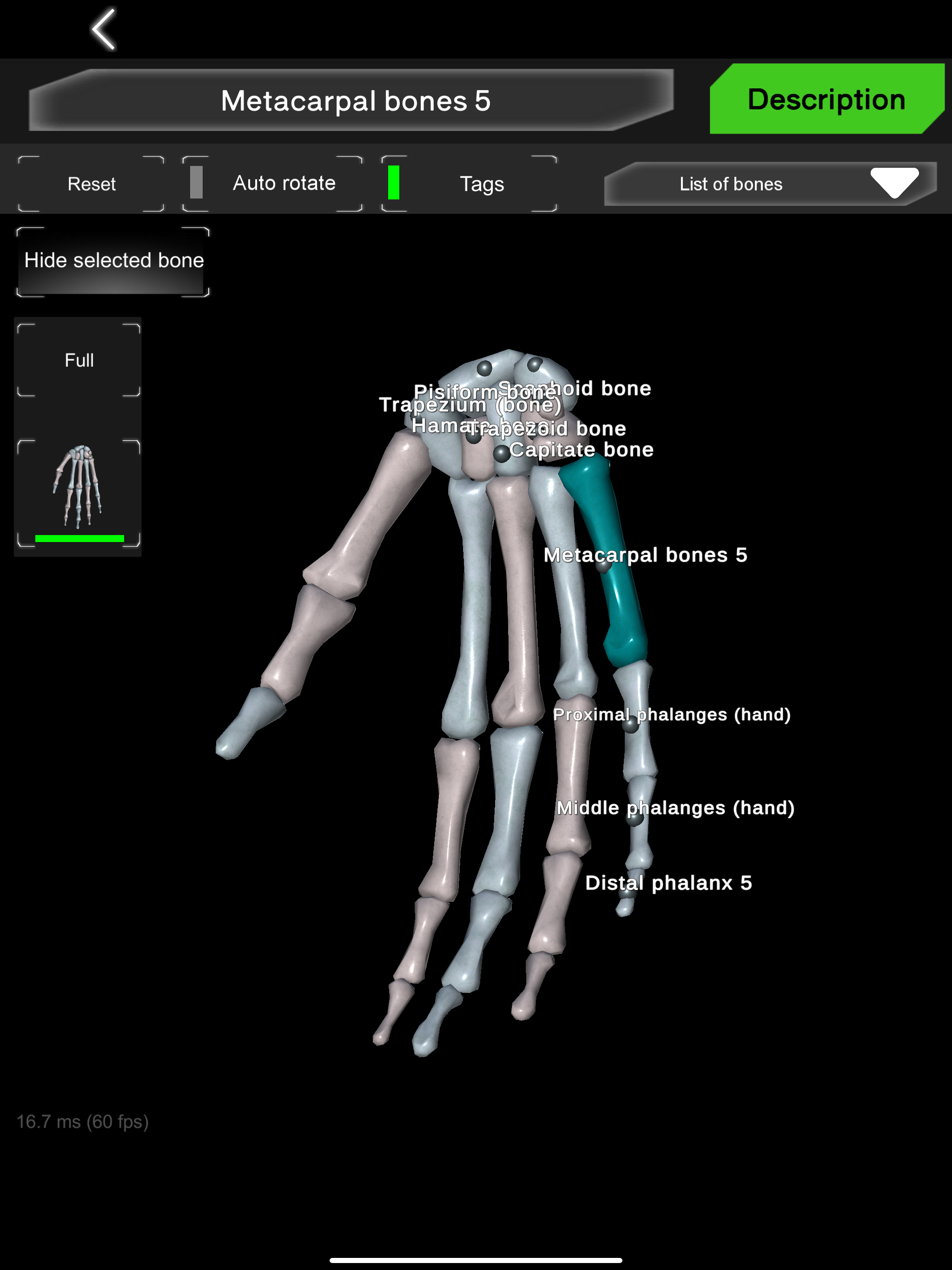 Bones 3D (Anatomy) screenshot 7