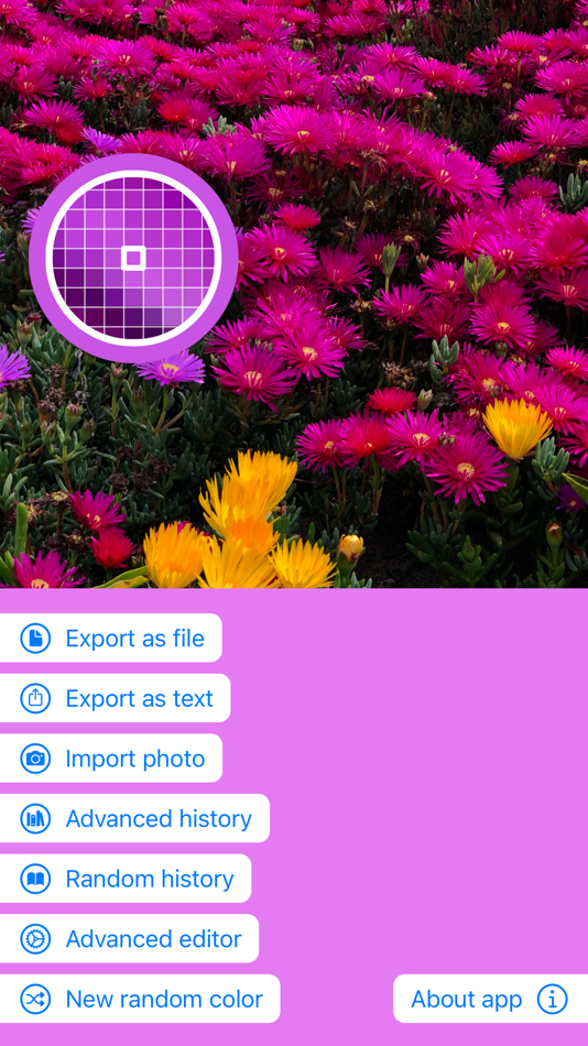 #1. PickerFull - Color Extractor (iOS) 게시자: Daniel Springer