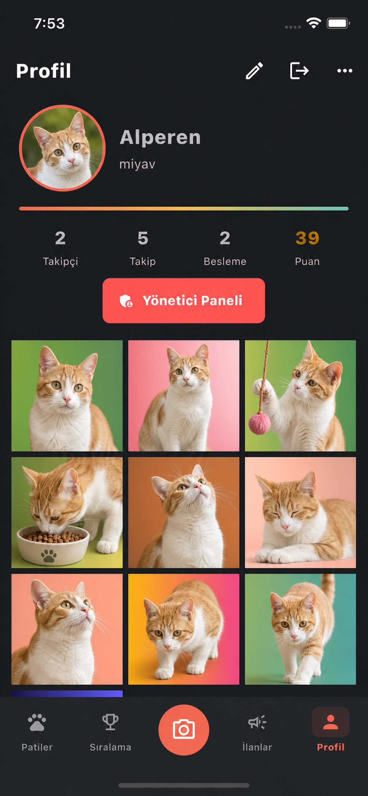 PisiID screenshot 2