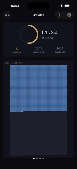 Brevitas screenshot 1