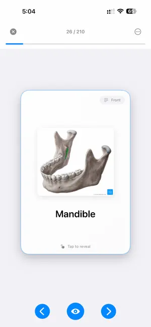 StudyFlow Flash Cards screenshot 1