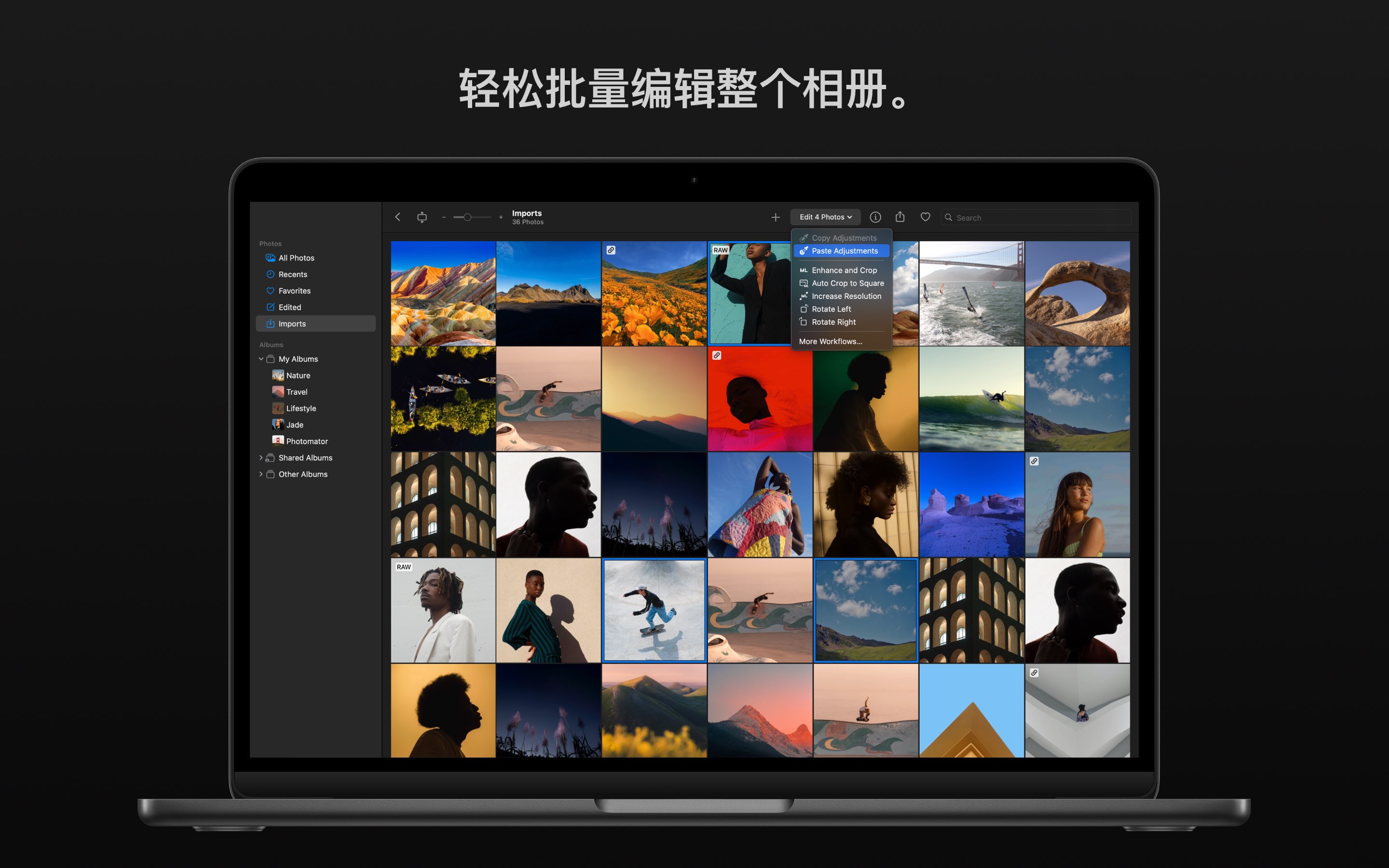 Photomator 截图 8