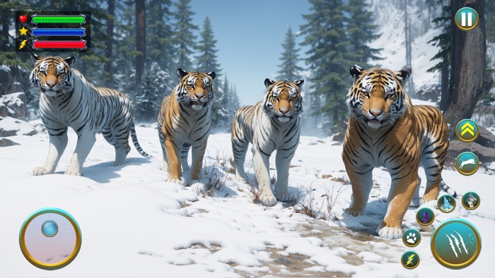 Wild Tiger Animal Survival