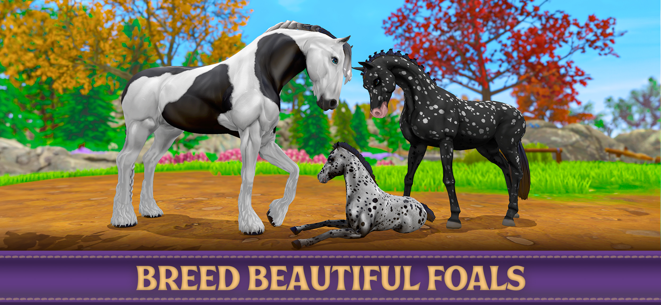 Star Equestrian - Horse Ranch