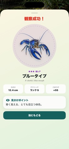 ぼくのザリガニ池 iPhone screenshot
