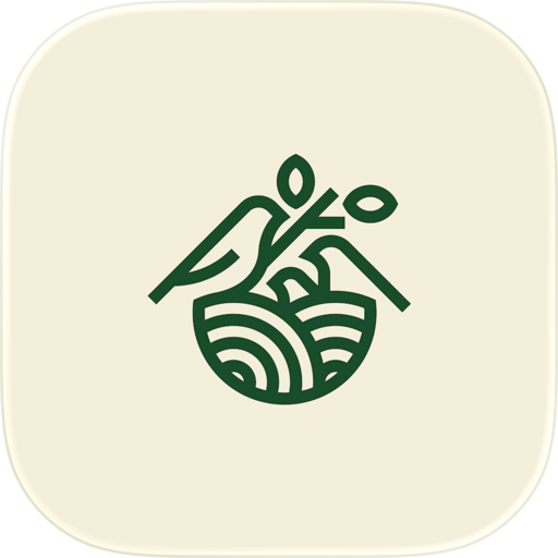 MealCondo: Nigerian Recipes