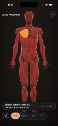 Atlas Muscular screenshot 2