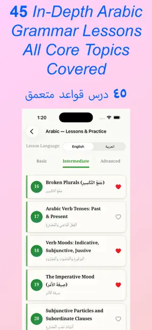 Arabic Grammar - Intermediate screenshot 2