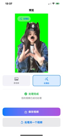 VideoMatting screenshot