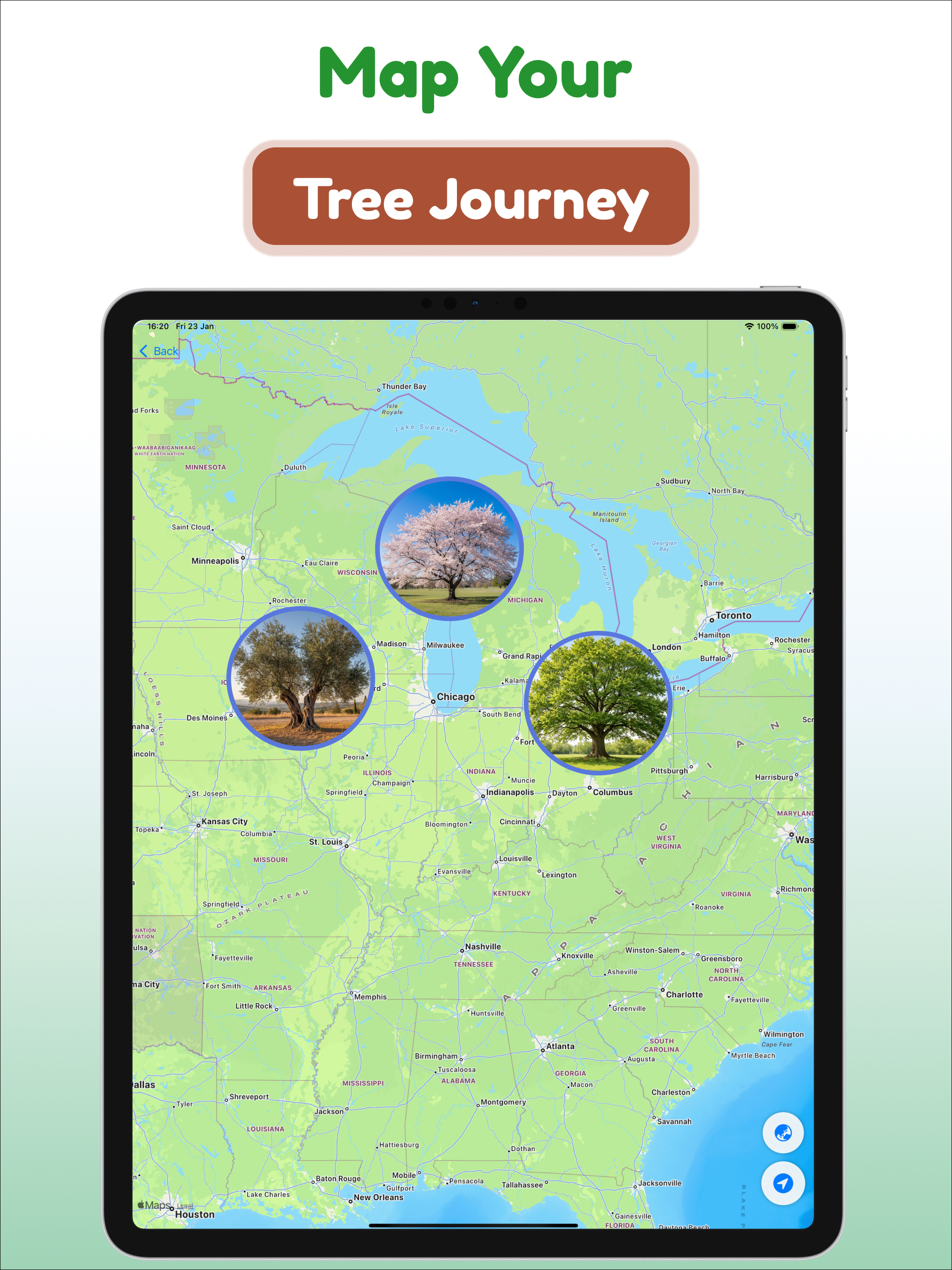 Tree and Plant Identifier screenshot 10