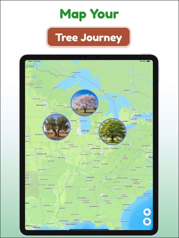 Tree and Plant Identifier iPad screenshot