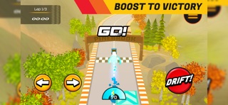 Road Fury Dash screenshot